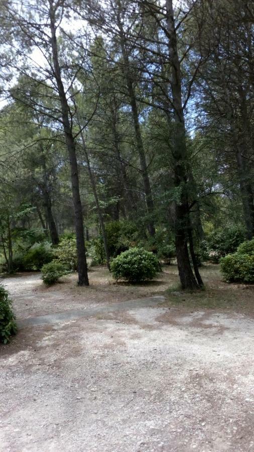 Le Clos Zinou Lambesc Exteriér fotografie