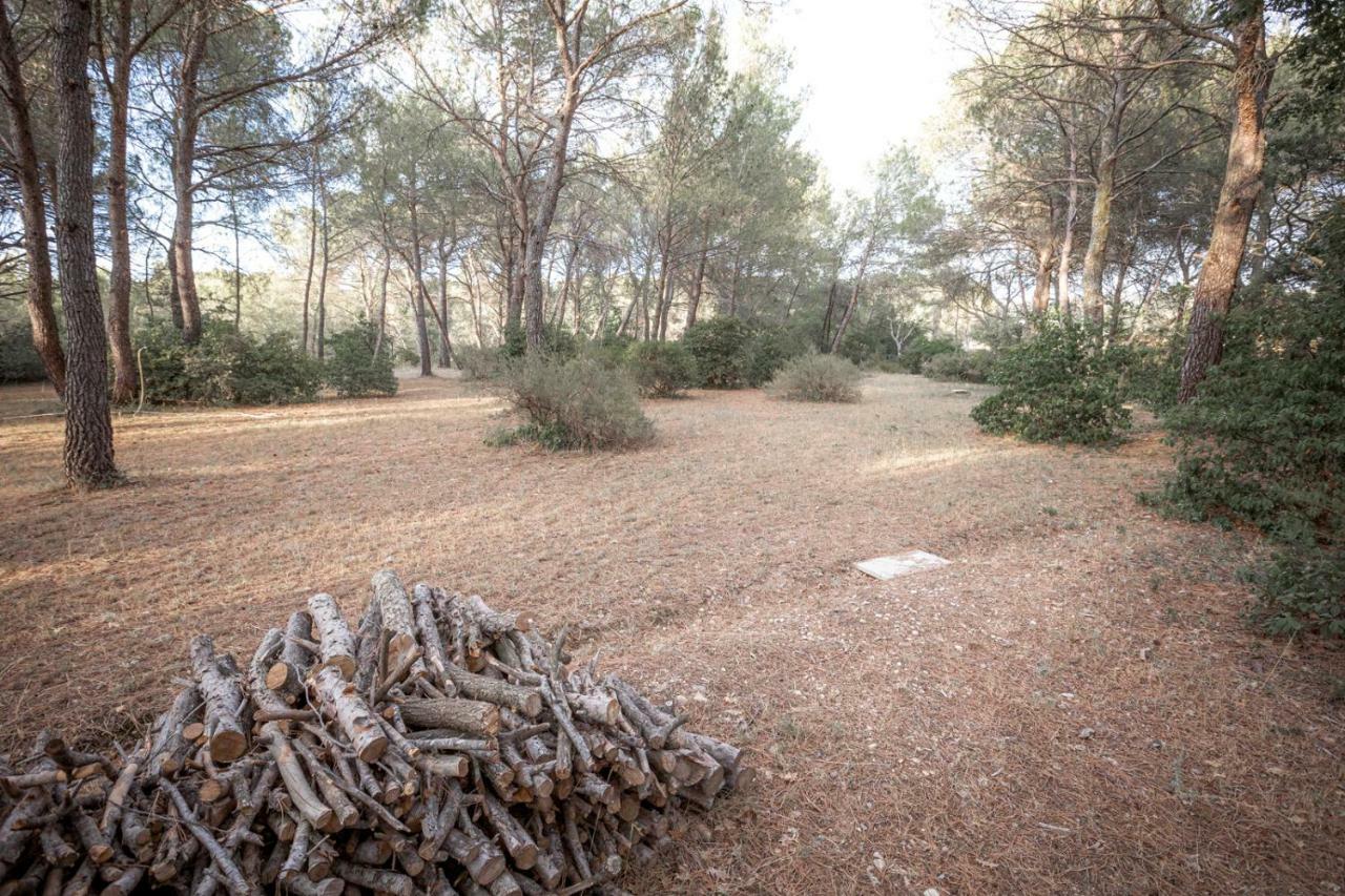 Le Clos Zinou Lambesc Exteriér fotografie