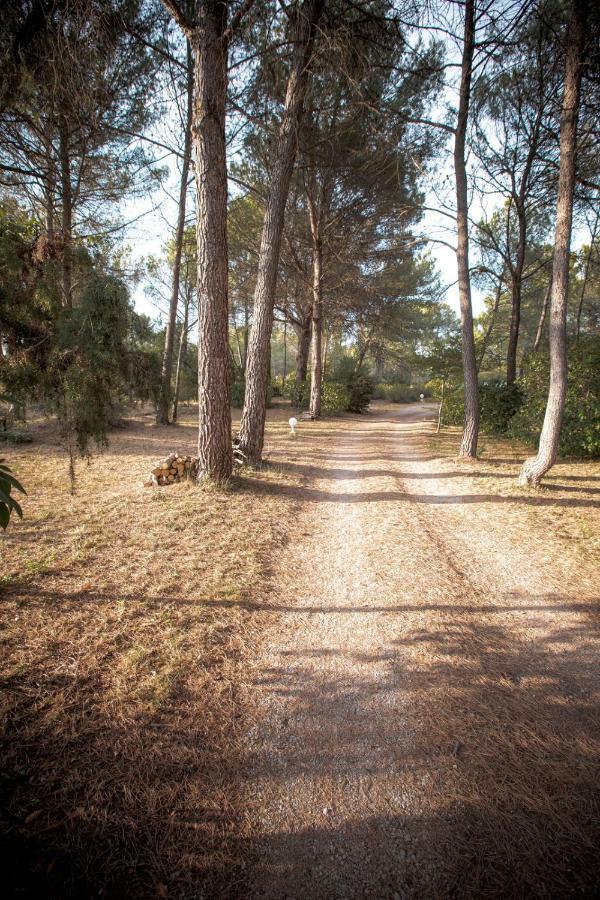 Le Clos Zinou Lambesc Exteriér fotografie